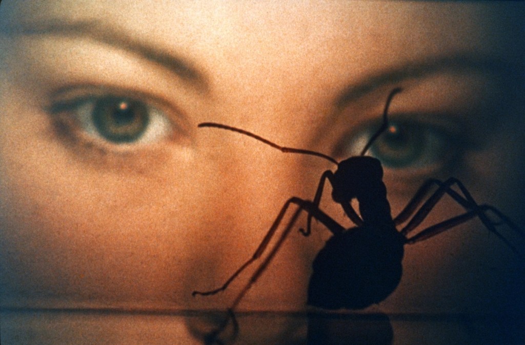 Phase IV (1974)